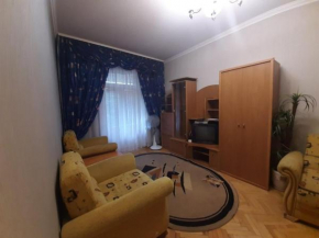 Cozy apartment in the center.